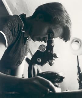 Rosalind Franklin using a microscope