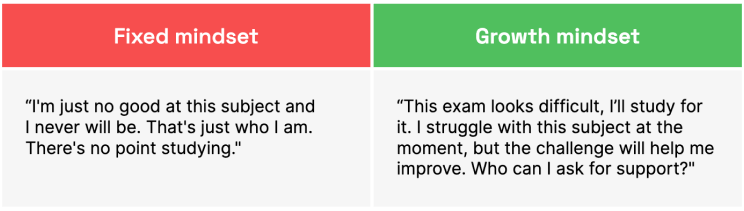 The difference between a fixed mindset and a growth mindset.