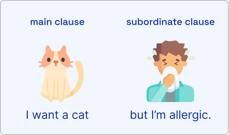 An example of dual coding using the sentence: 'I want a cat but I'm allergic.'